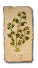 Parsley Wall Plaque