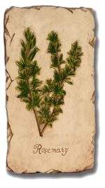 Rosemary Wall Plaque