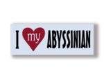 I love my Abyssinian