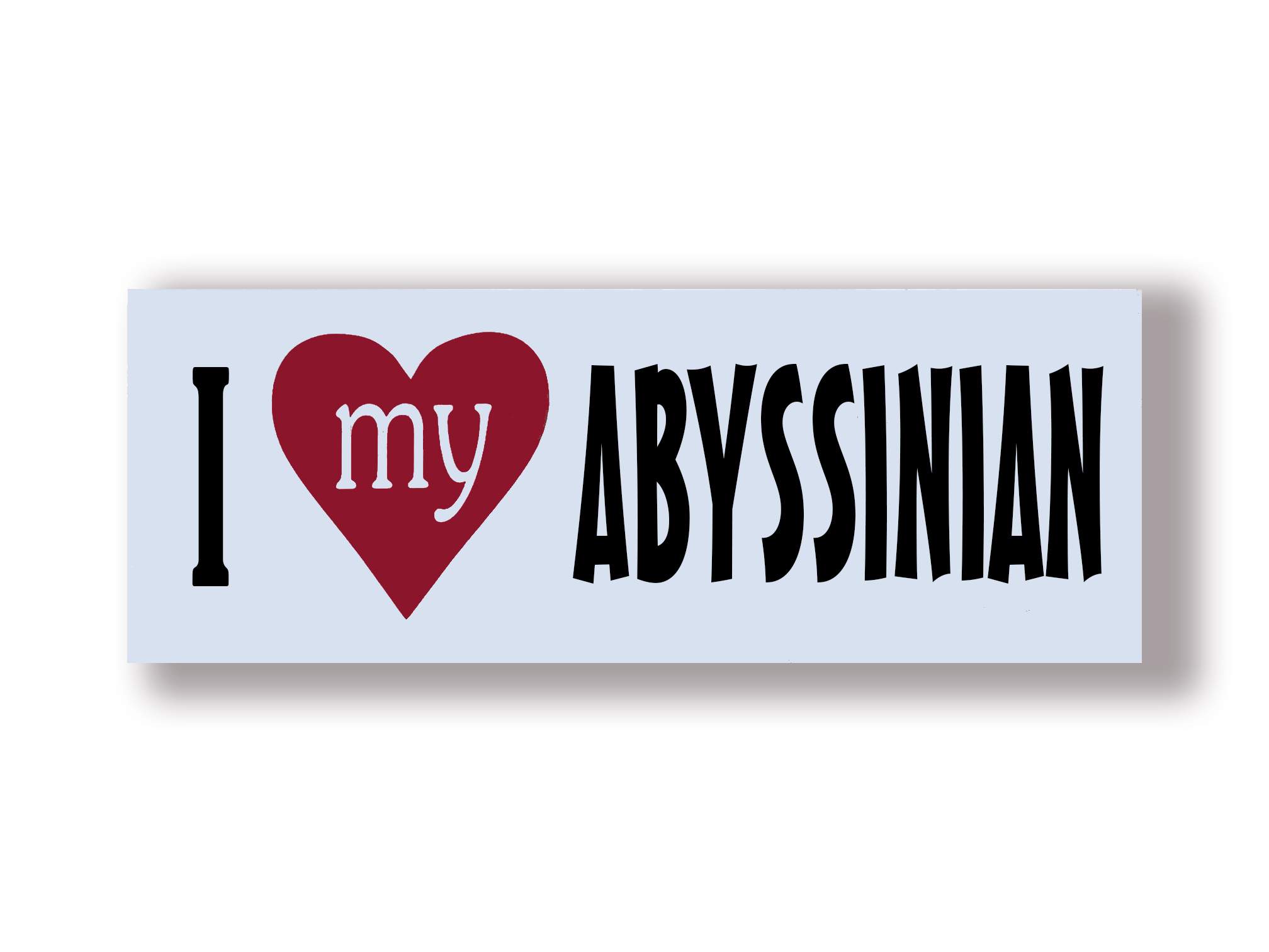 I love my Abyssinian