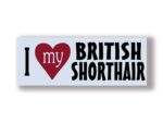 I Love My BRITISH SHORTHAIR
