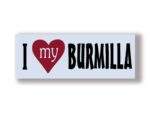 I Love My BURMILLA