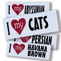 I Love My CATS - Montage