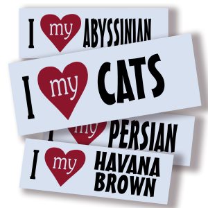 I Love My CATS - Montage