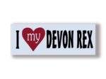 I Love My DEVON REX