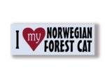 I Love My NORWEGIAN FOREST CAT