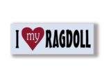 I Love My RAGDOLL