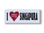 I Love My SINGAPURA