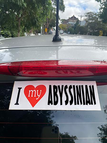 Abyssinian Sticker