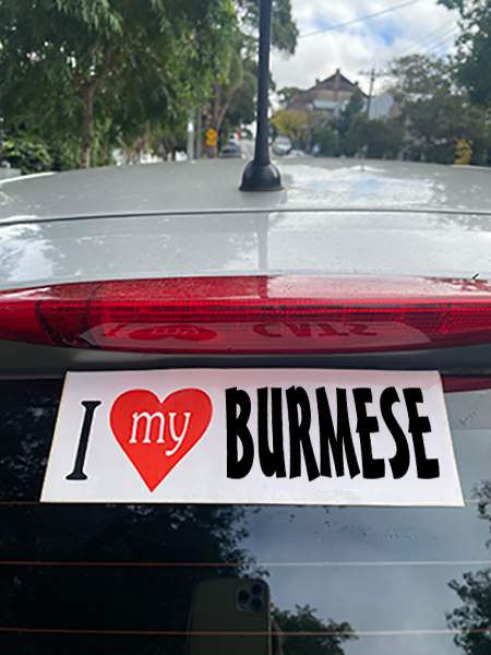 Burmese