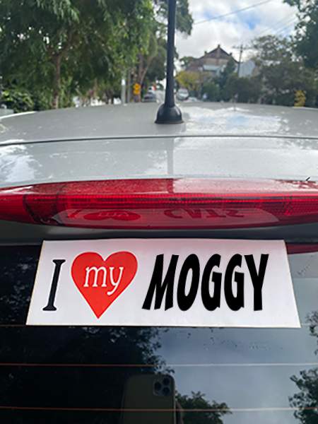 MOGGY