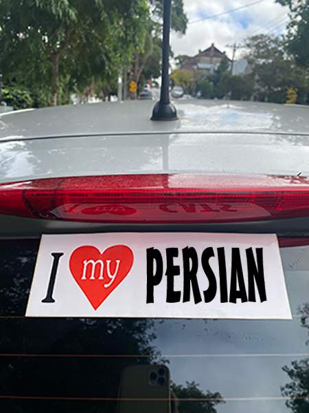 PERSIAN