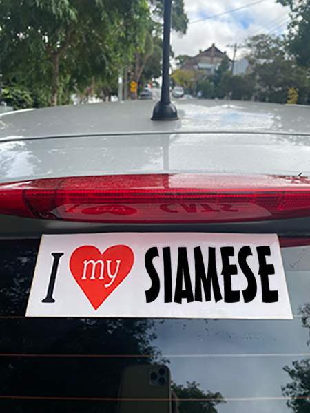 SAIMESE