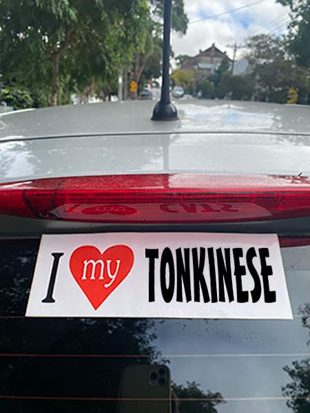 TONKINESE