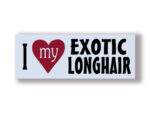 Exotic Longhair