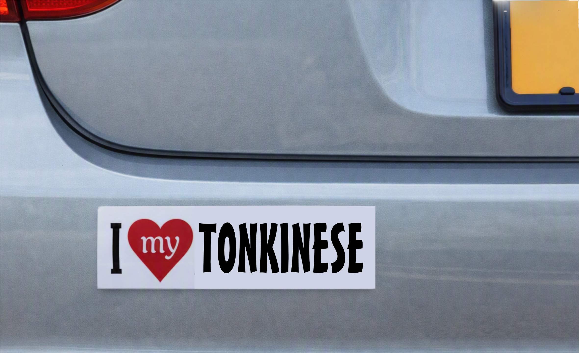 TONKINESE